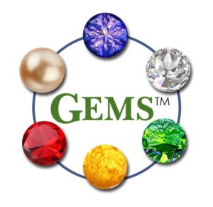 The GEMS®: Brain Change Model